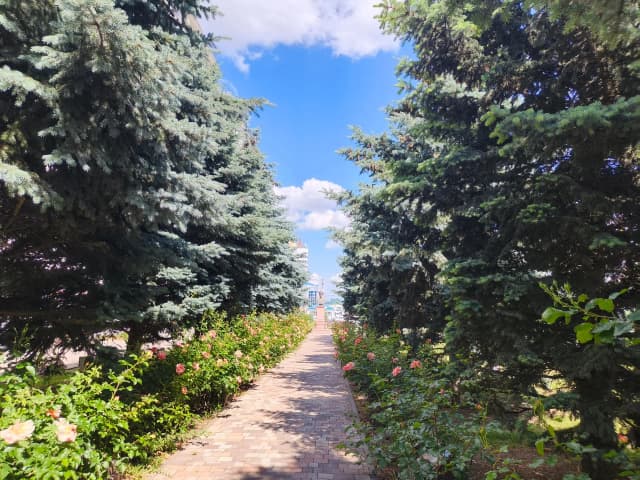 Аллея десантников