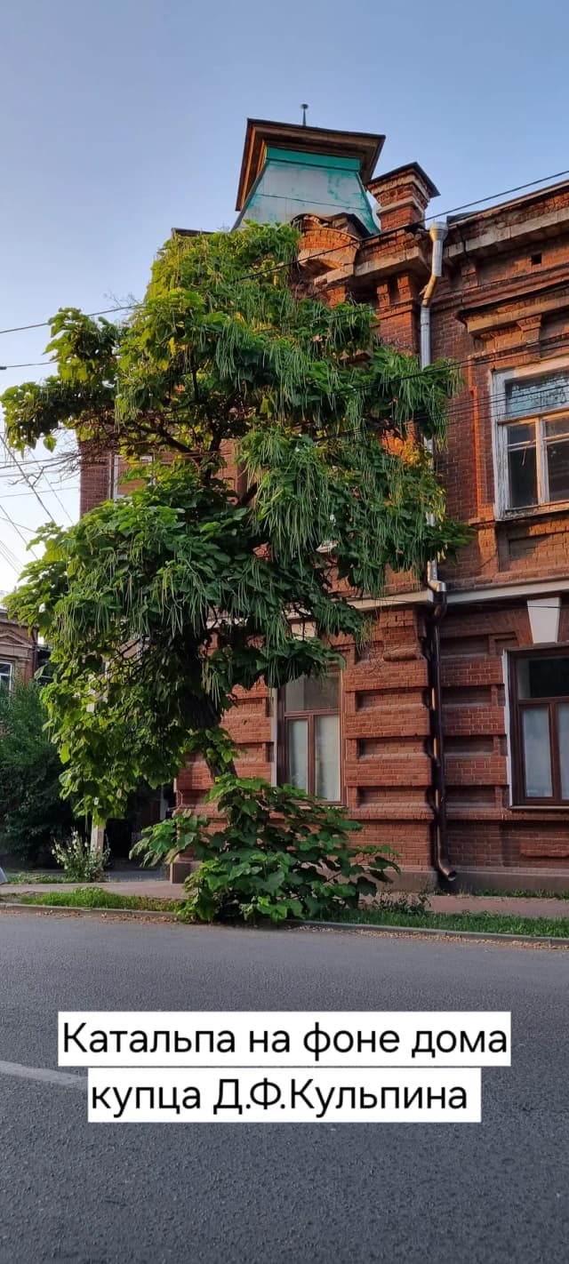 Домовладение Д.Ф. Кульпина