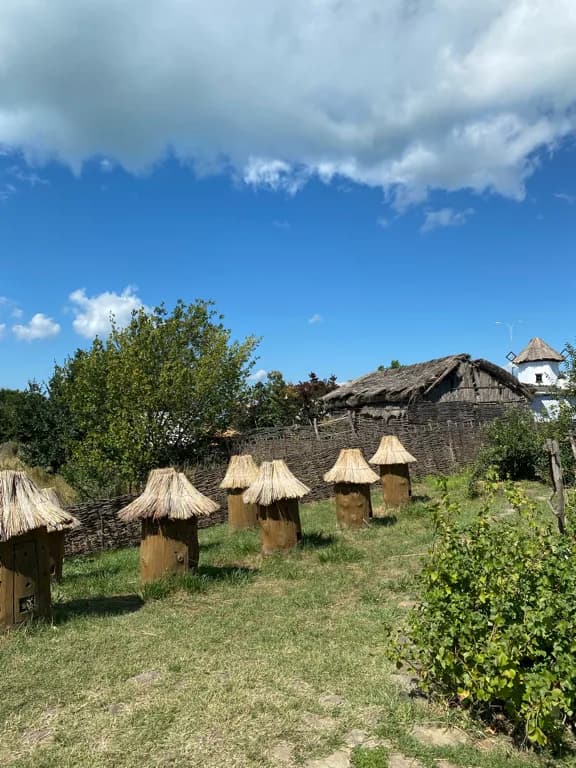 Хата Пасечника