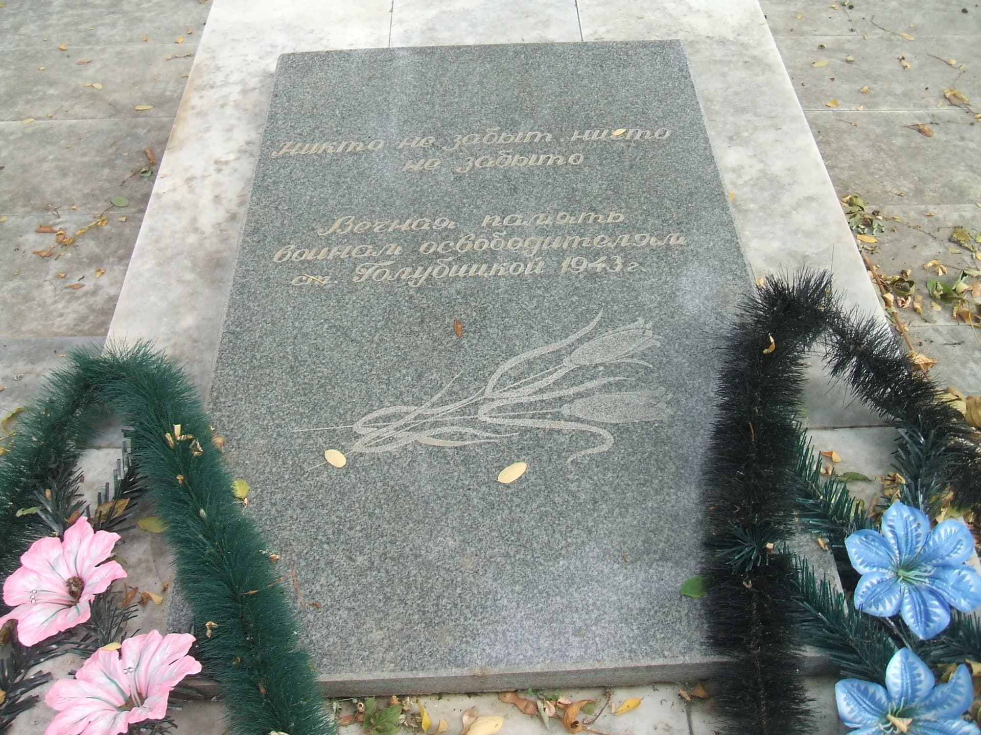Голубицкая
