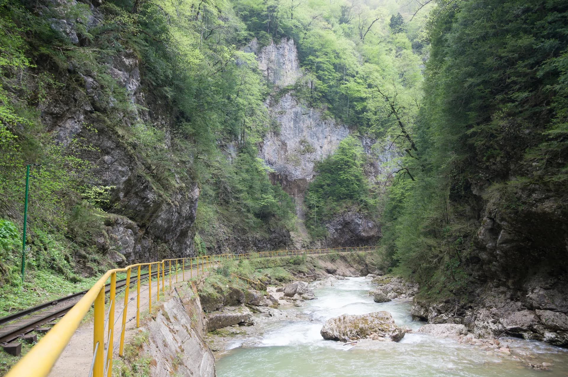 Гуамка