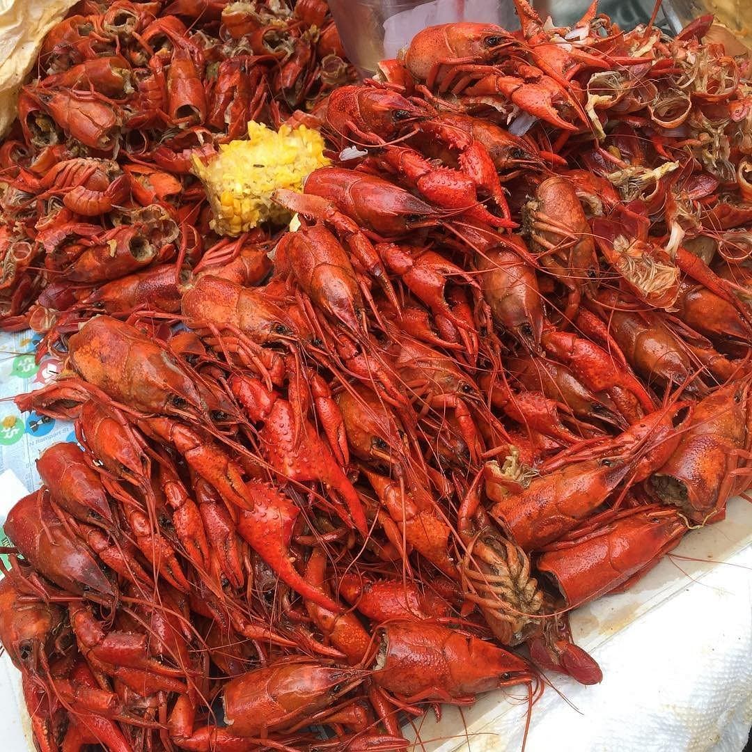 Раки Сочи
