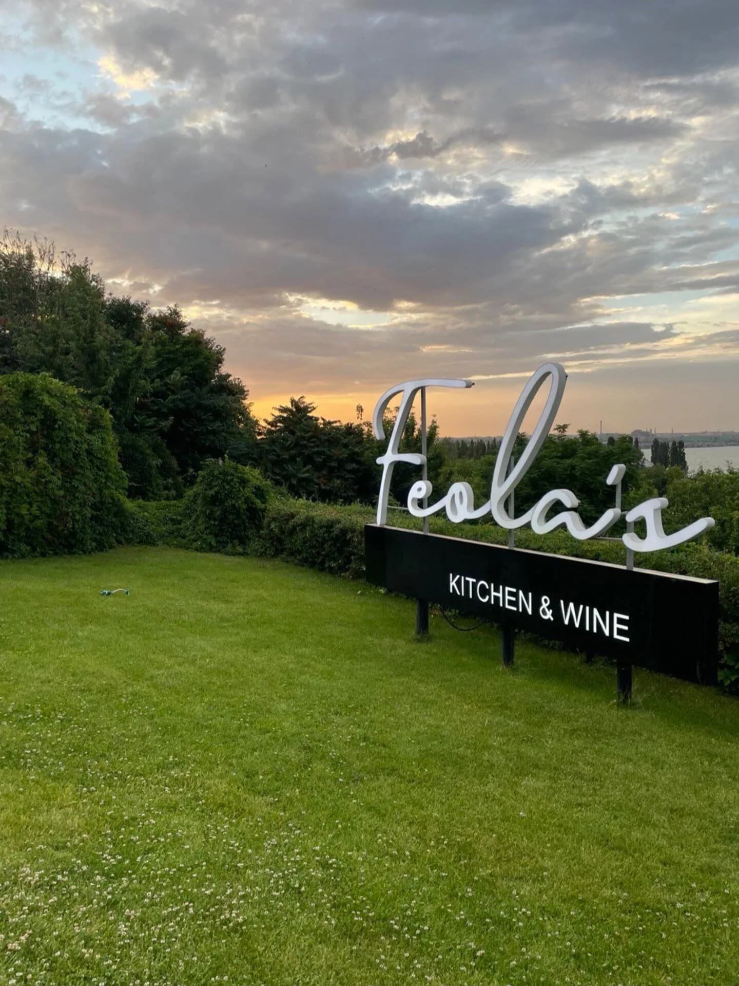 Feola's Kitchen & Wine