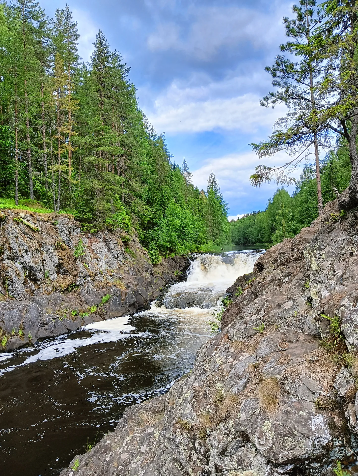Кивач