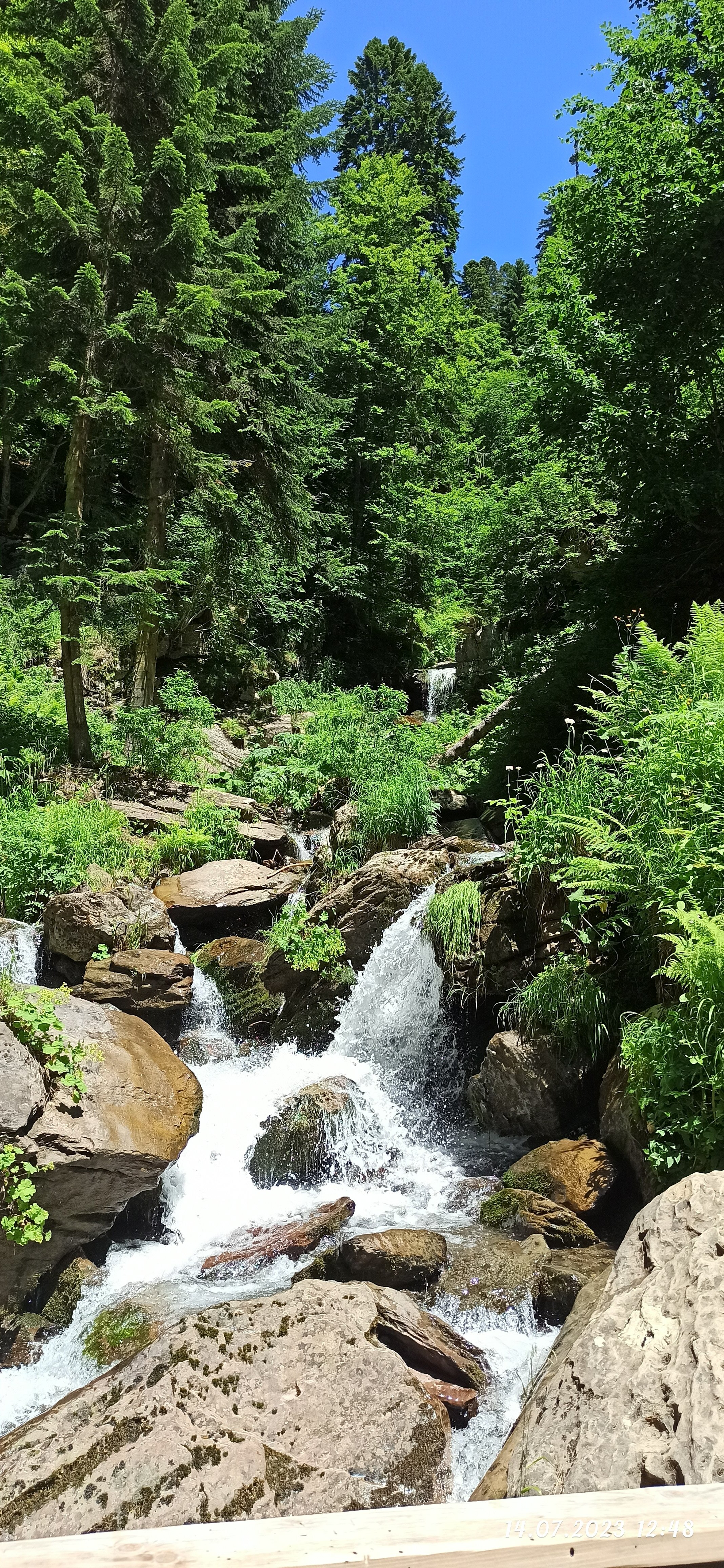 Водопад Менделя