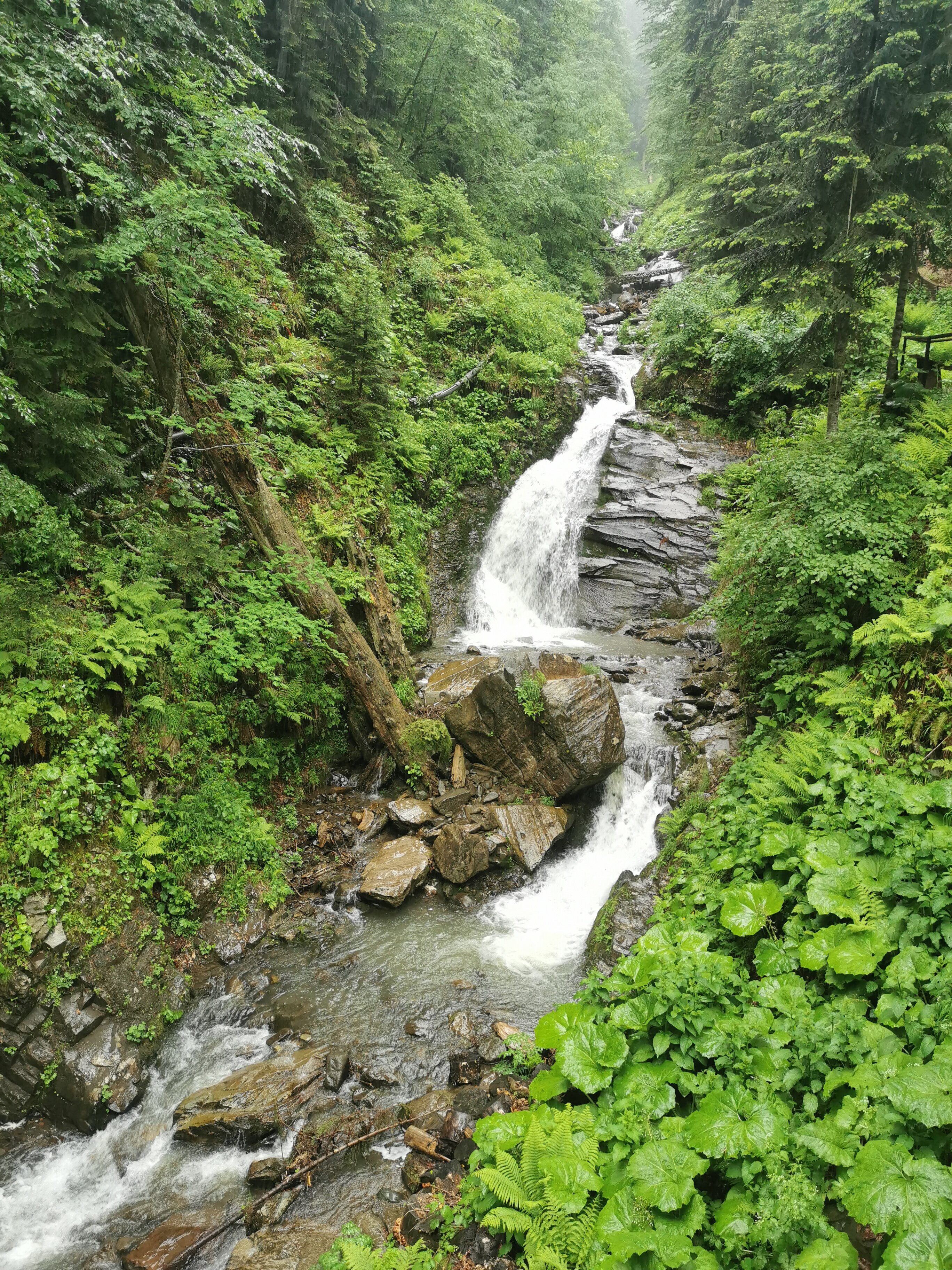 Водопад Менделя