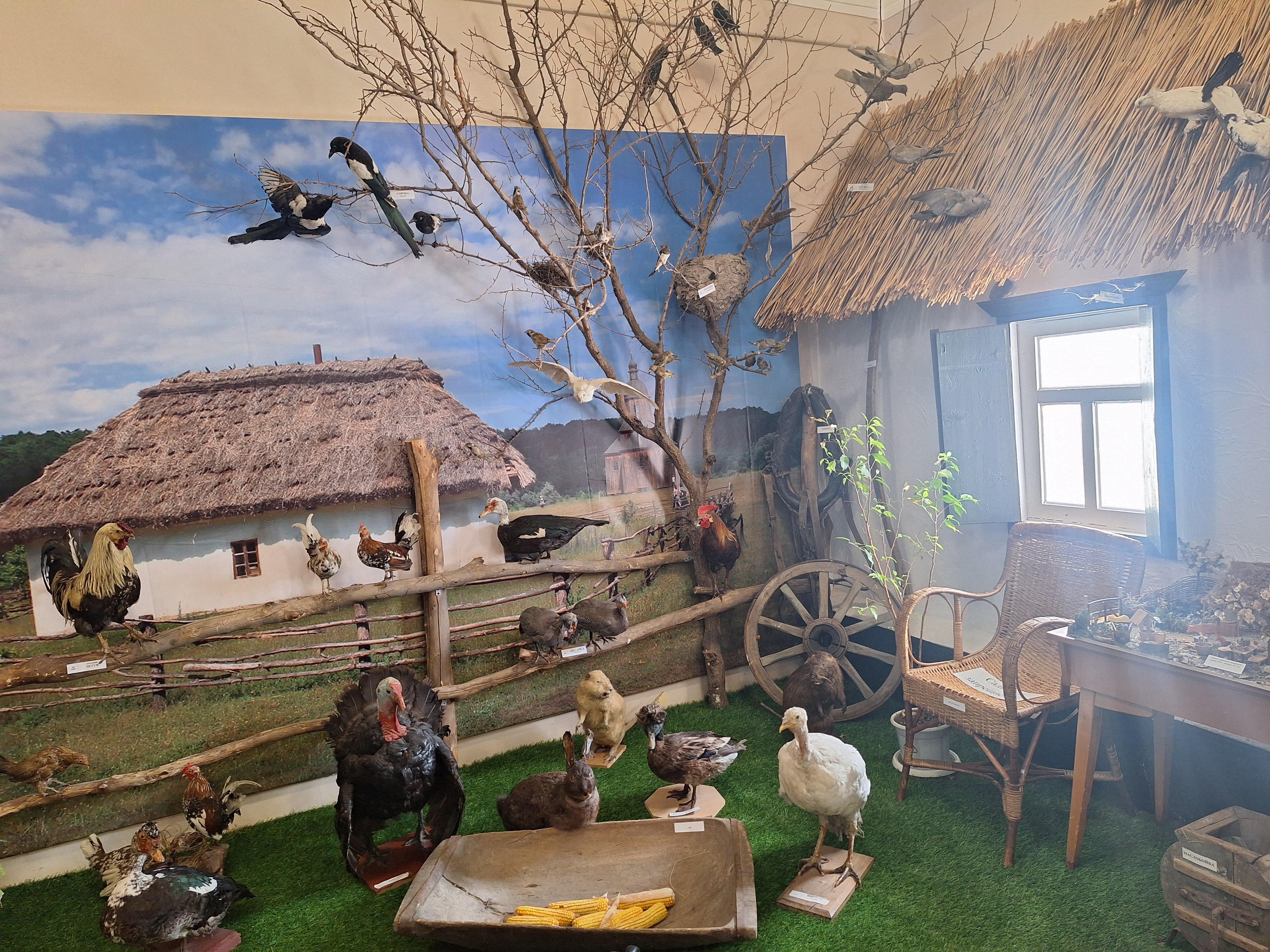 Ейский районный краеведческий музей