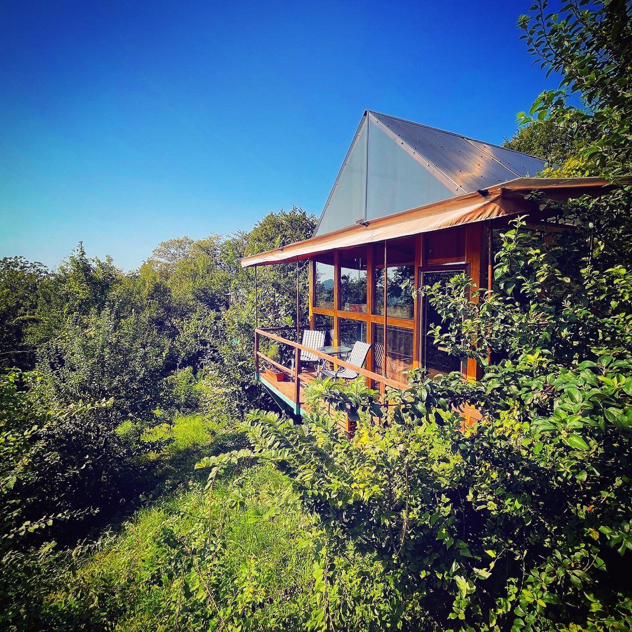 Оранжереи