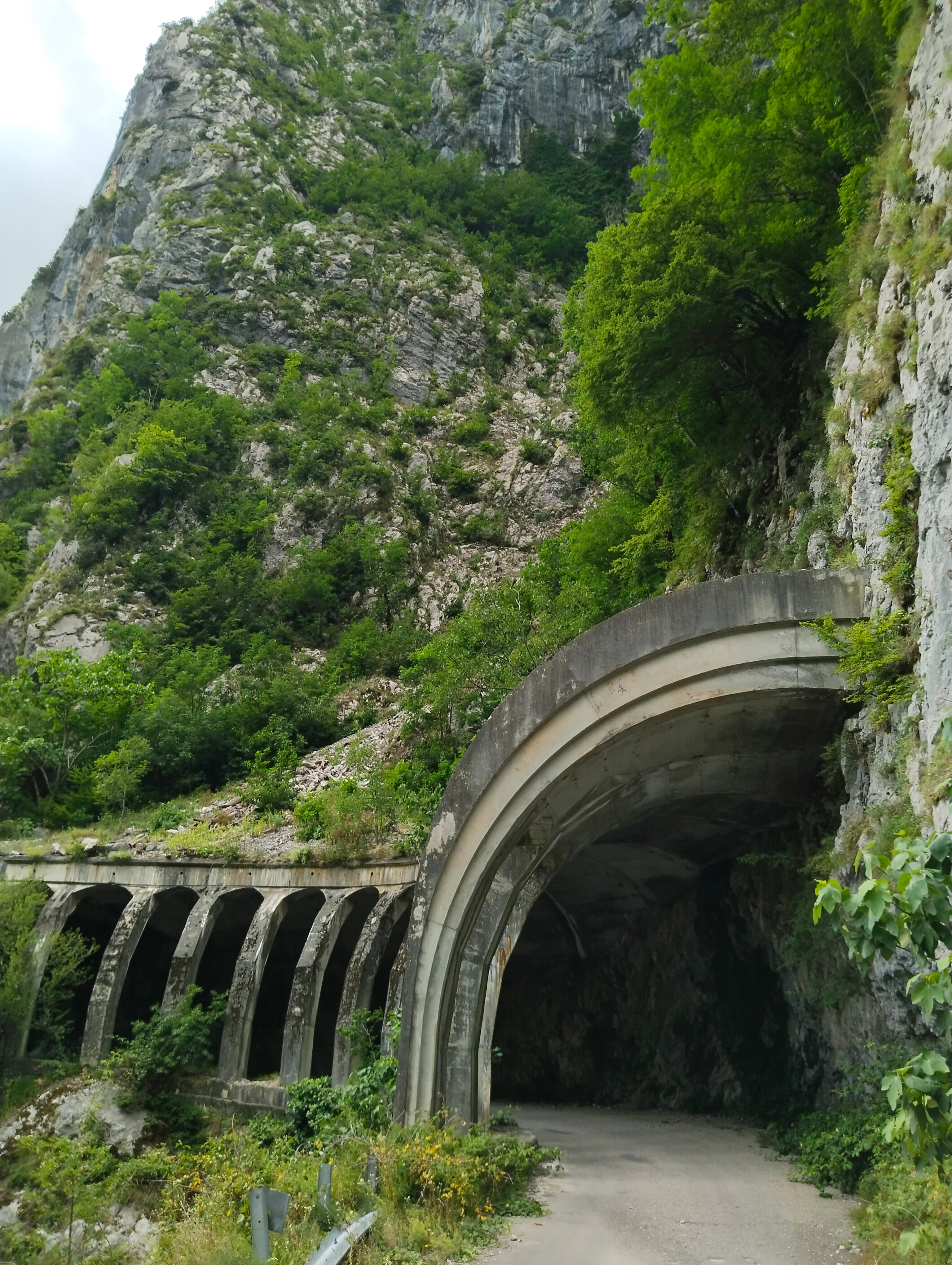 Старое Краснополянское шоссе