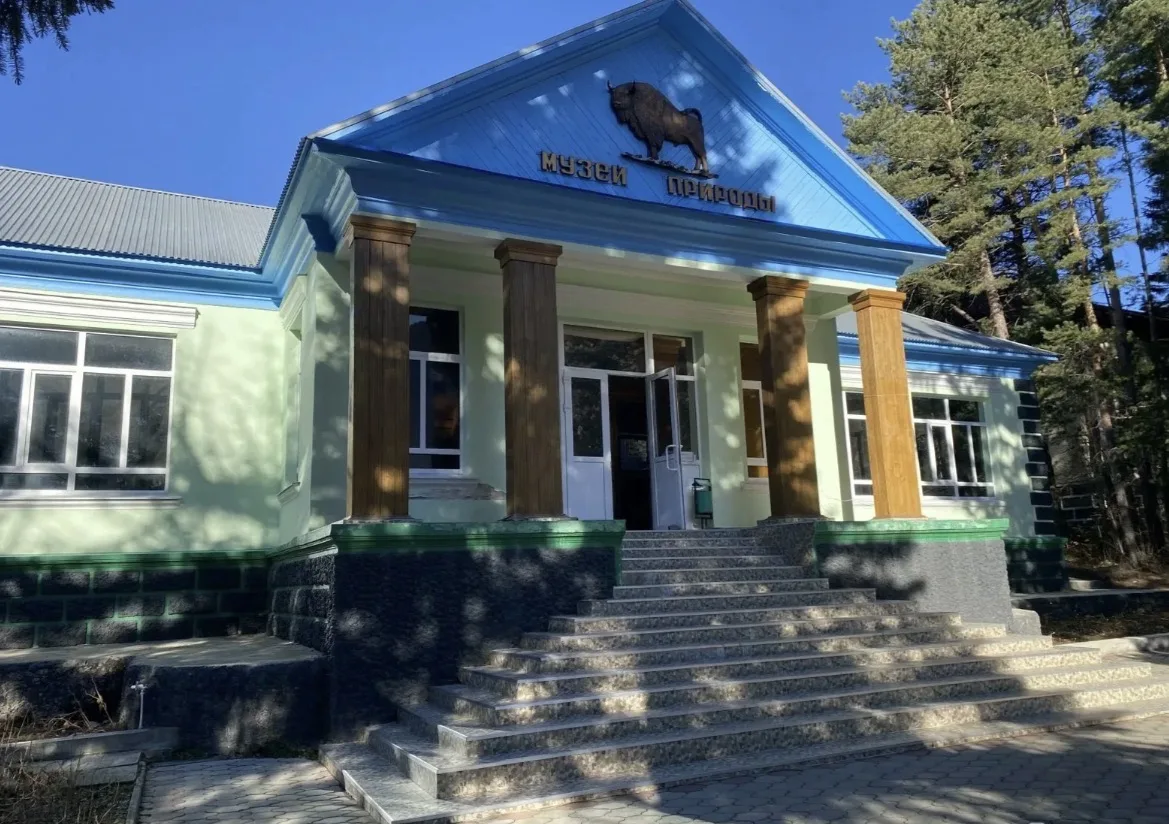 Музей природы Тебердинского заповедника — фото изнутри