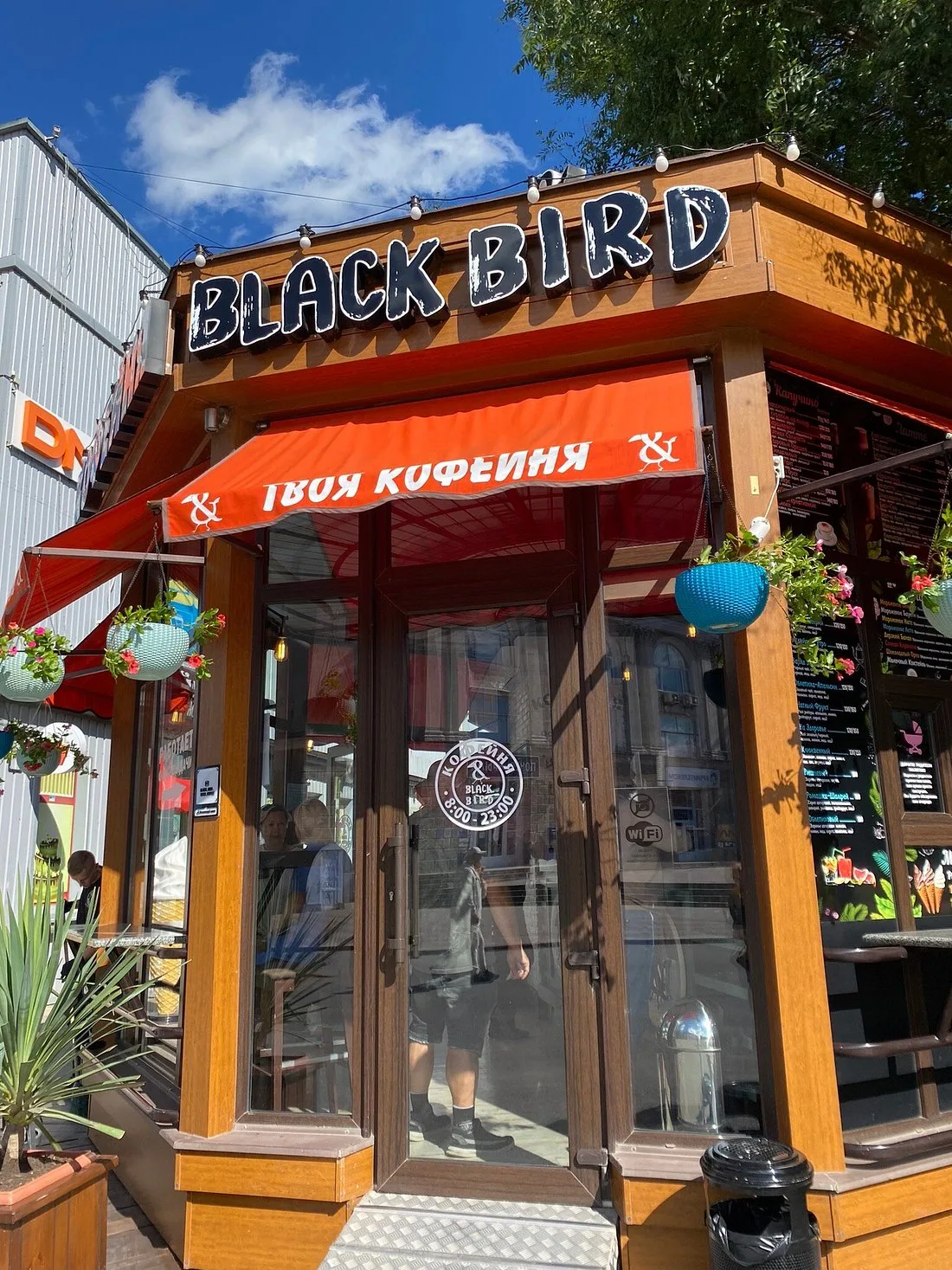Black Bird