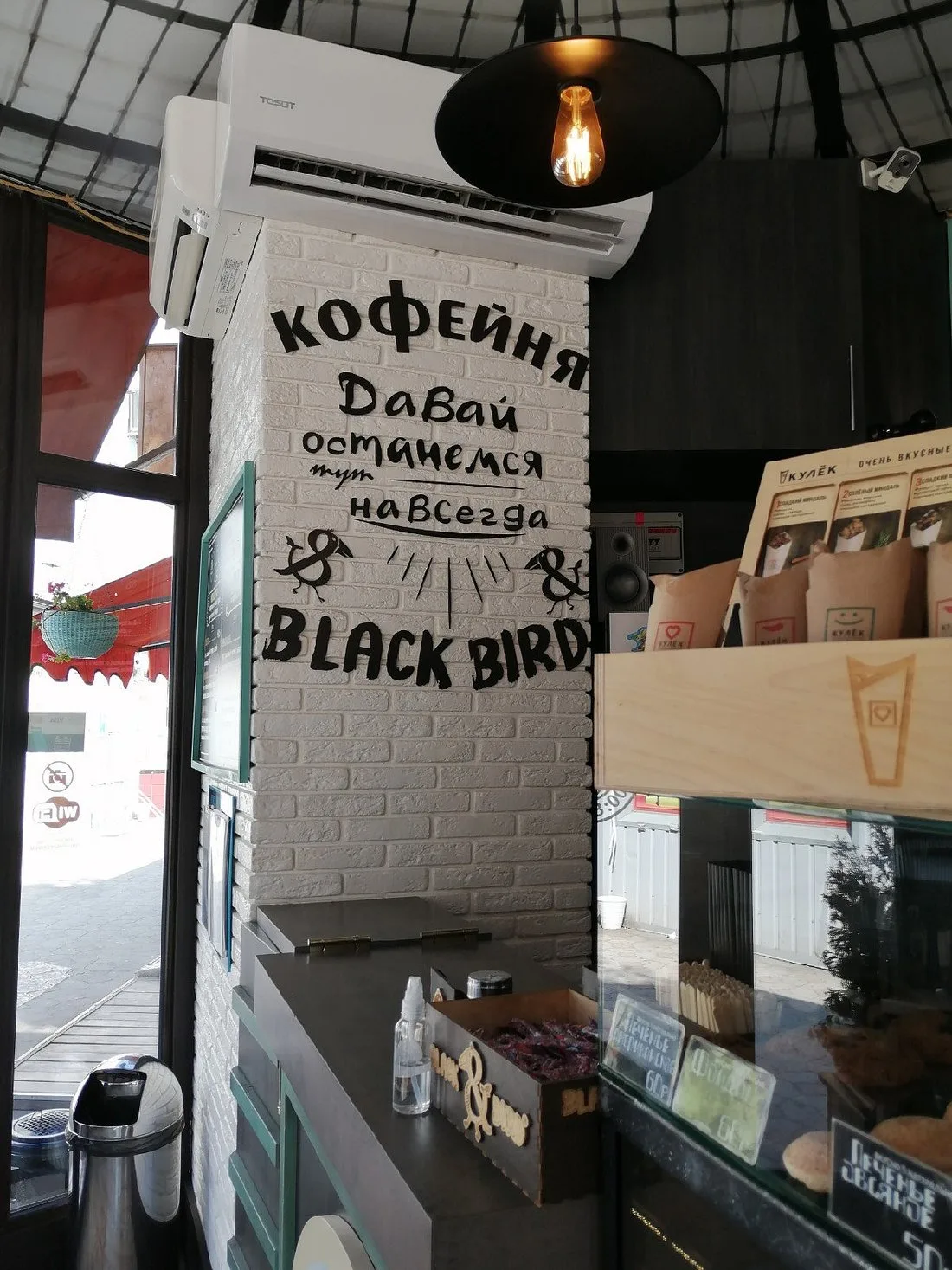 Black Bird