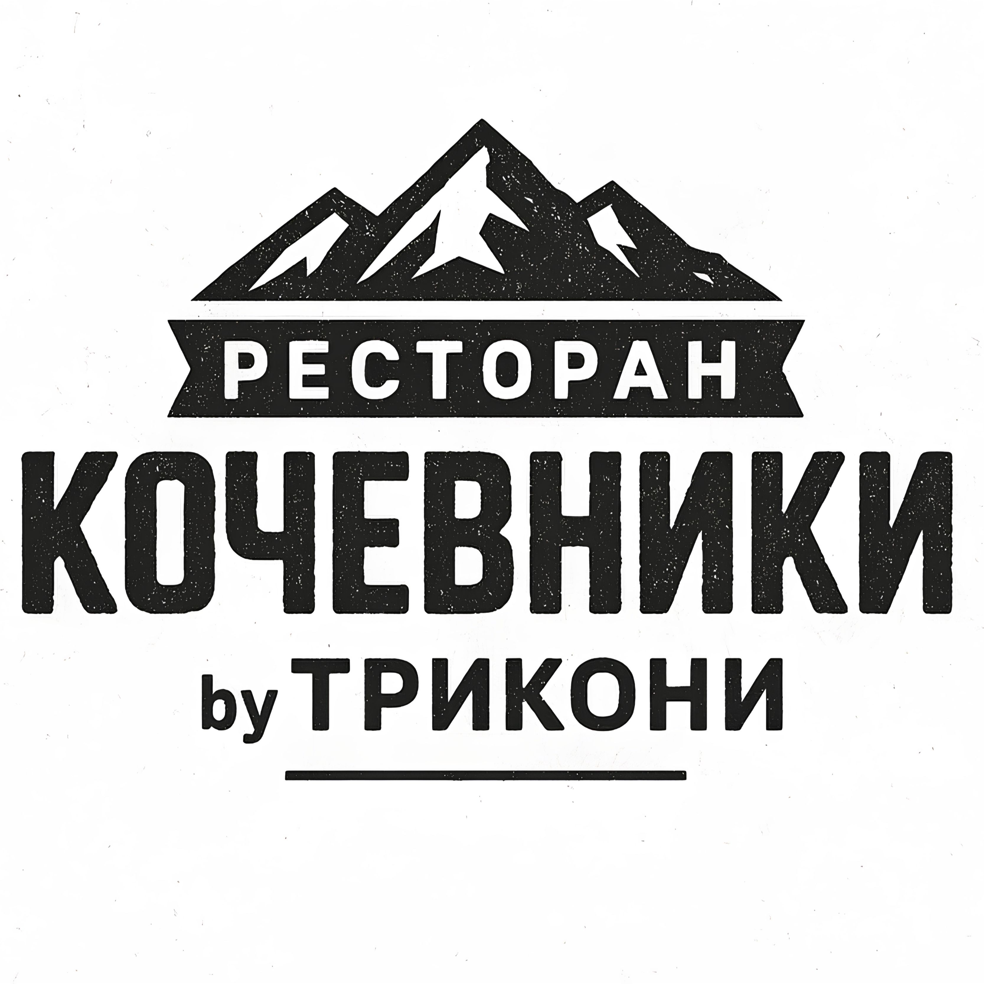 Кочевники