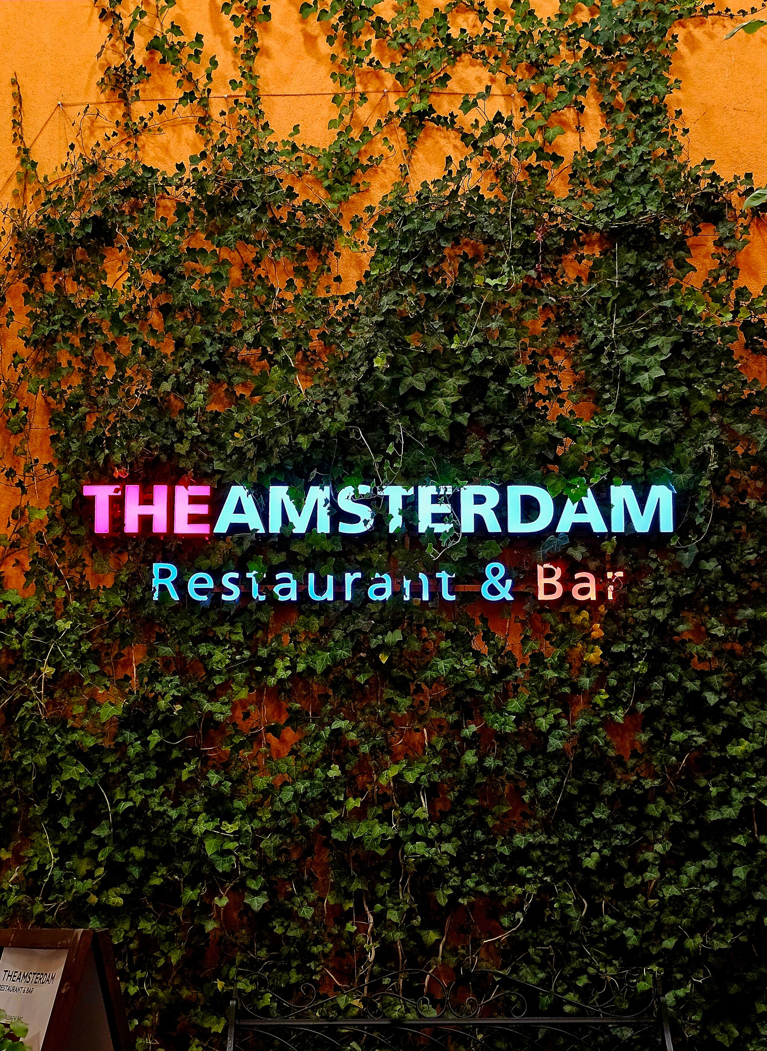 TheAmsterdam