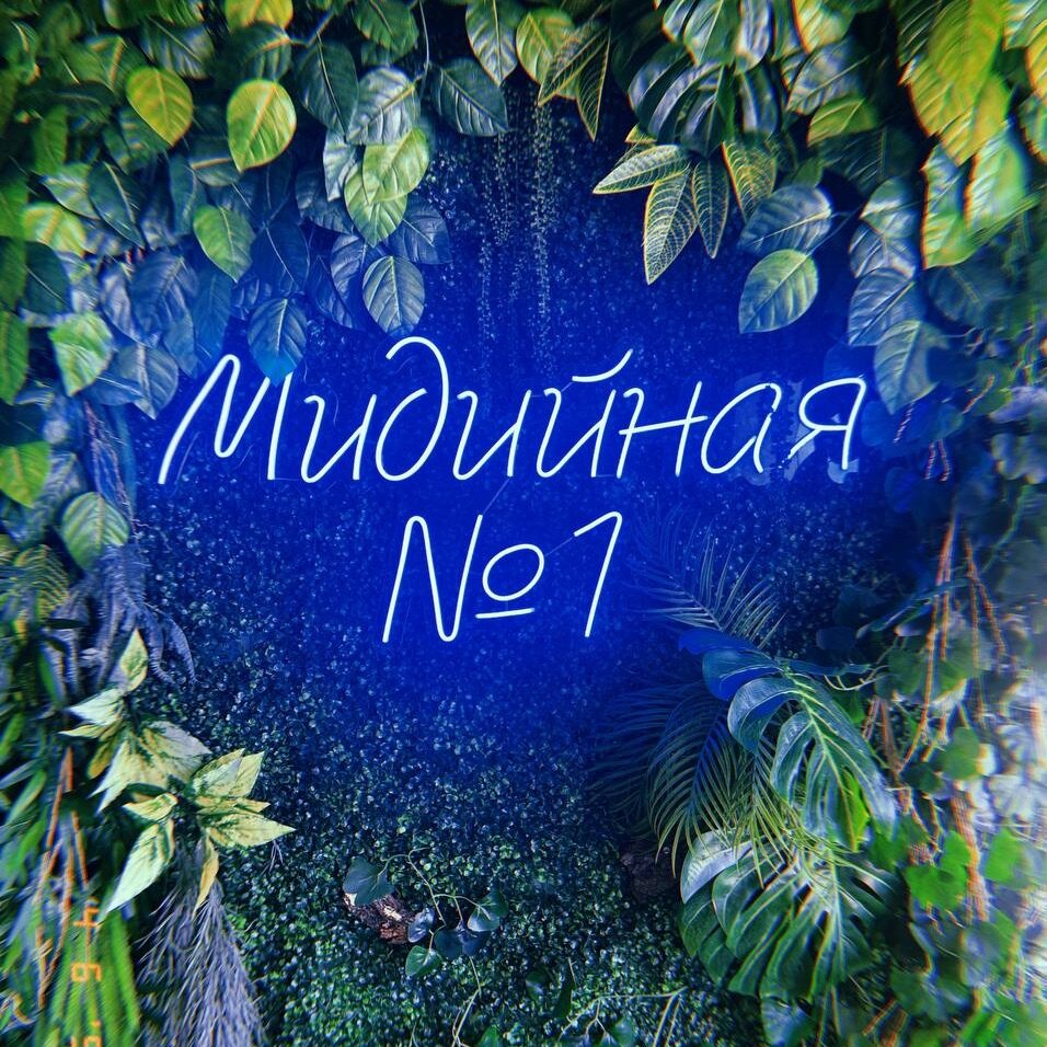 Мидийная № 1