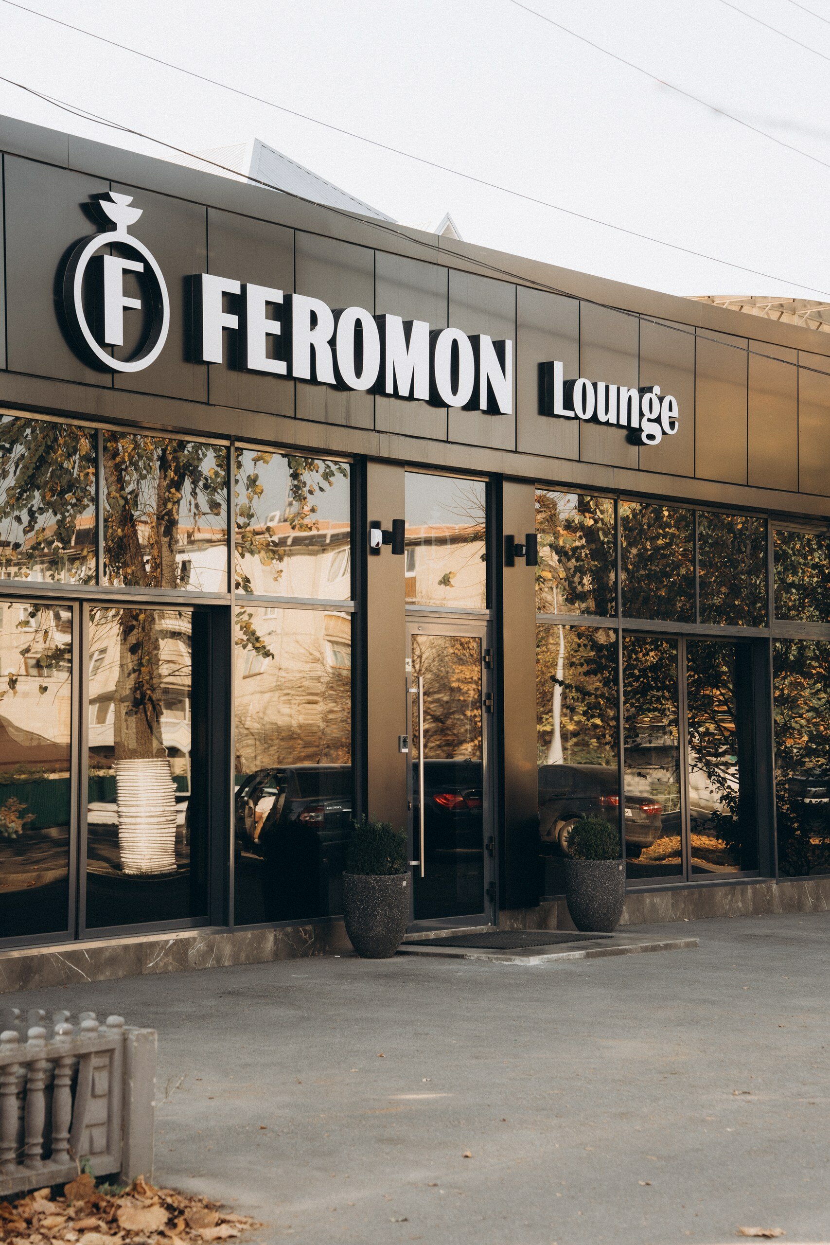 Feromon Lounge