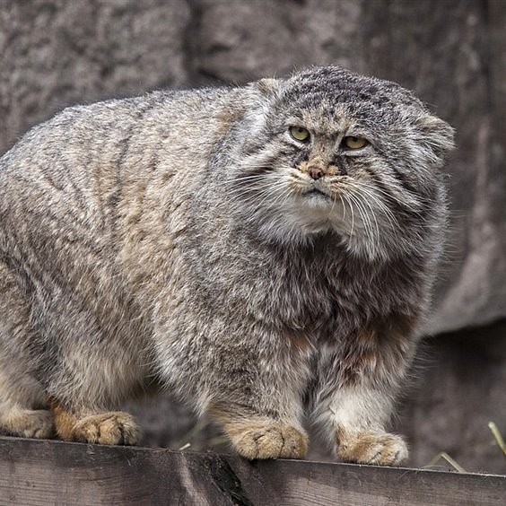 Юность у моря