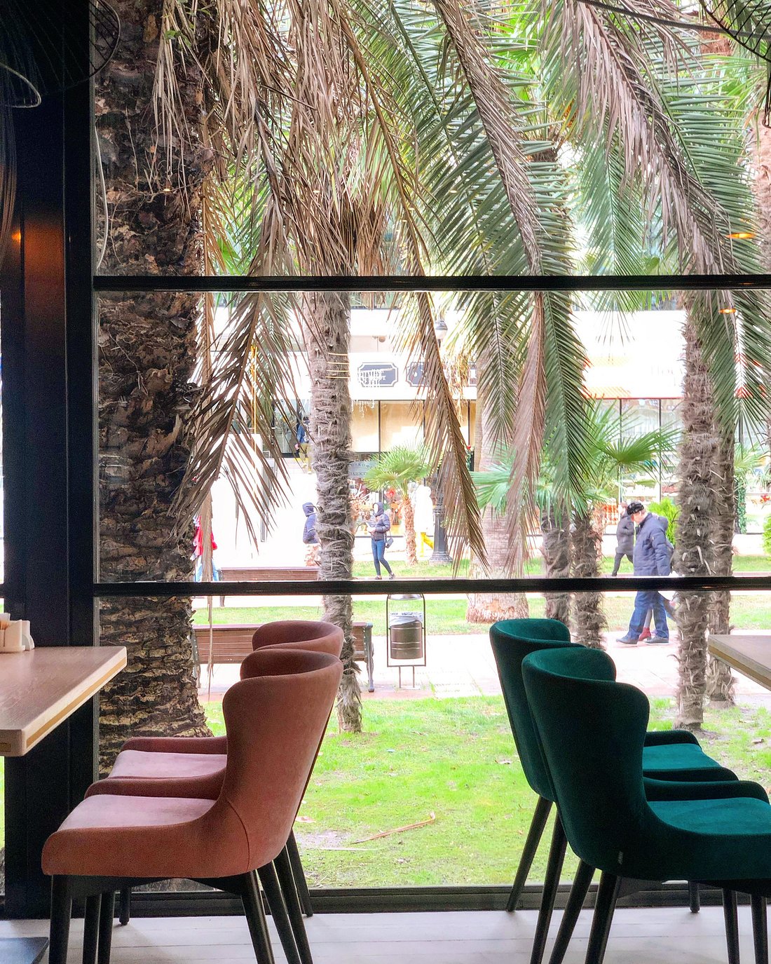 Palm Cafe