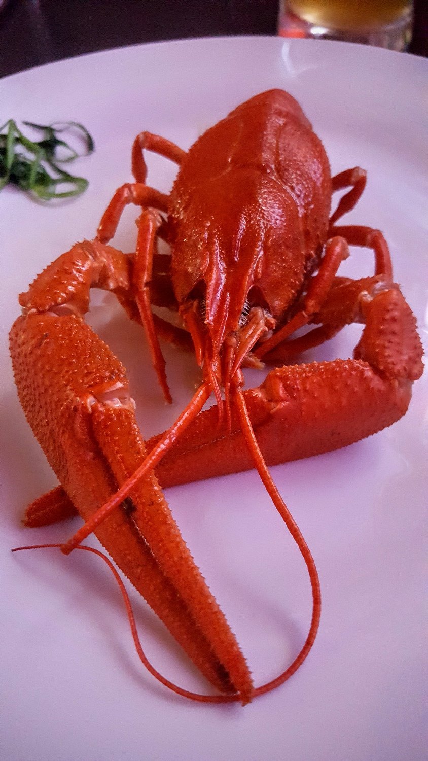 Первая Раковая