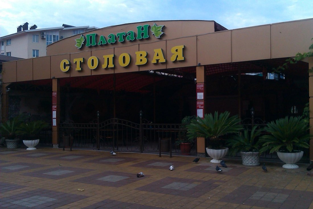 Платан