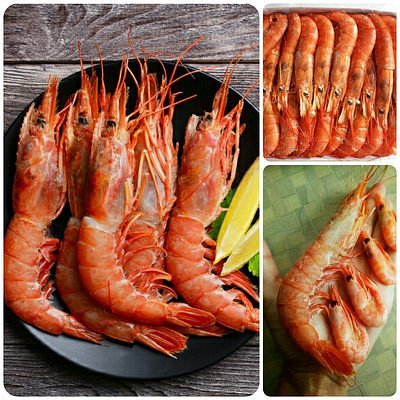 Раки 23 Раковарня №1
