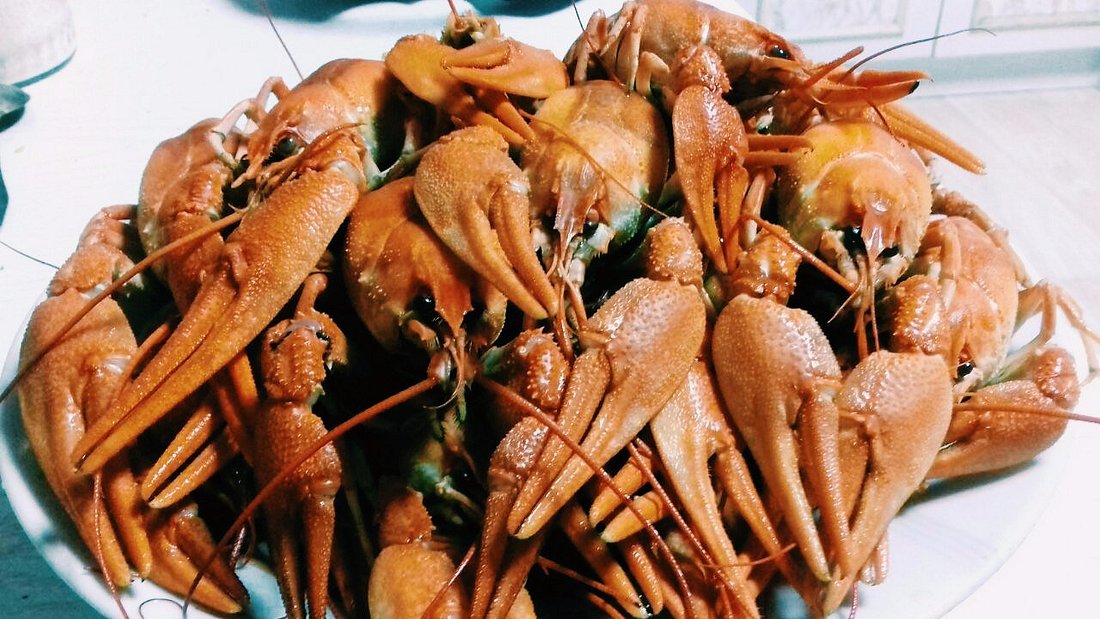 Раки Сочи