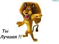 Смоковница