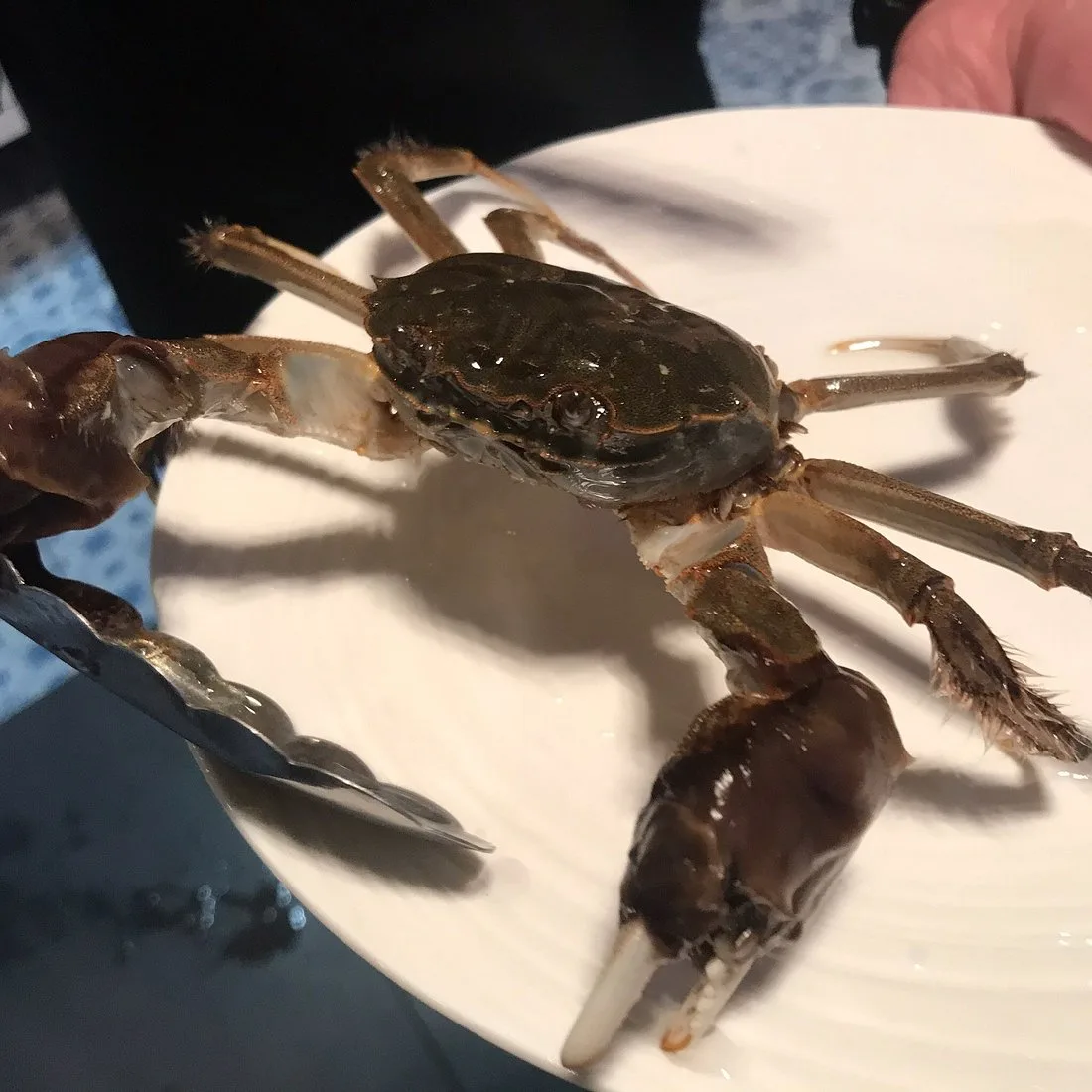 Морской ресторан